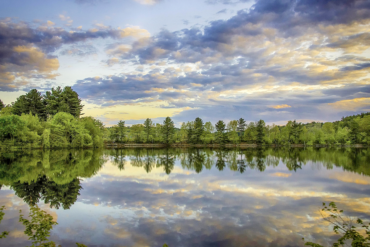 Cloudy day with reflective river and forest
